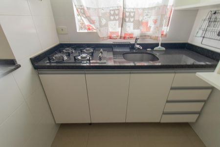 Apartamento para alugar com 49m², 2 quartos e 1 vagaCozinha - Armários