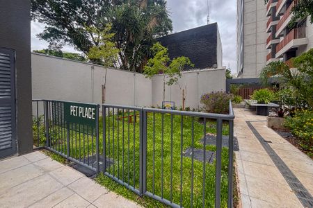 Studio para alugar com 24m², 1 quarto e sem vagaarea pet