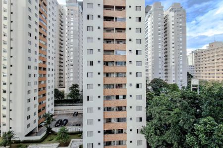 Apartamento à venda com 72m², 2 quartos e 1 vagaVista do Quarto 1