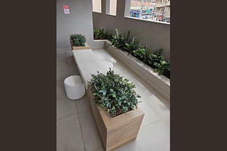 Apartamento à venda com 1 quarto, 26m² em Tucuruvi, São Paulo