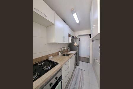 Cozinha de apartamento para alugar com 3 quartos, 63m² em São Sebastião, Porto Alegre