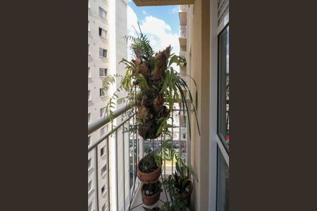 Varanda de apartamento para alugar com 2 quartos, 36m² em Vila Graciosa, São Paulo