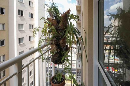 Varanda de apartamento para alugar com 2 quartos, 36m² em Vila Graciosa, São Paulo