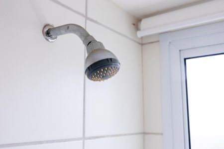 Apartamento para alugar com 61m², 2 quartos e 1 vagaChuveiro