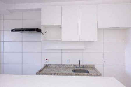 Apartamento para alugar com 61m², 2 quartos e 1 vagaCozinha - Armários