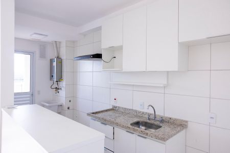 Apartamento para alugar com 61m², 2 quartos e 1 vagaCozinha - Armários