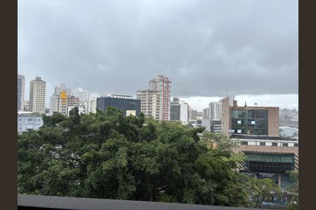 Apartamento à venda com 2 quartos, 87m² em Lourdes, Belo Horizonte