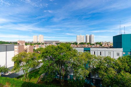 Apartamento para alugar com 46m², 2 quartos e 1 vagaVista do Quarto 1