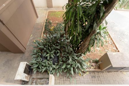 Apartamento à venda com 54m², 2 quartos e 1 vagaQuarto 2 - Vista