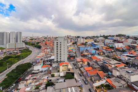 Studio para alugar com 28m², 1 quarto e sem vagaTerraço