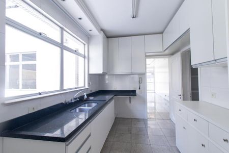 Apartamento para alugar com 377m², 4 quartos e 3 vagasCozinha