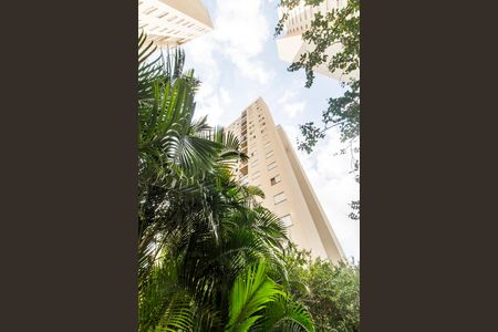 Apartamento para alugar com 56m², 2 quartos e 1 vagaFachada do bloco