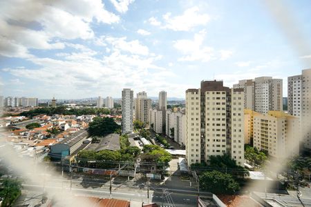 Apartamento à venda com 74m², 3 quartos e 2 vagasVista da suíte
