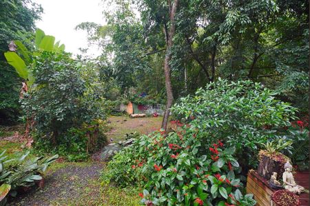 Vista do Quarto de casa para alugar com 1 quarto, 61m² em Canto da Lagoa, Florianópolis