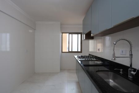 Apartamento para alugar com 112m², 3 quartos e 2 vagascozinha 