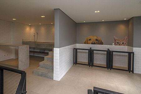 Apartamento para alugar com 50m², 2 quartos e 1 vagapet care_3