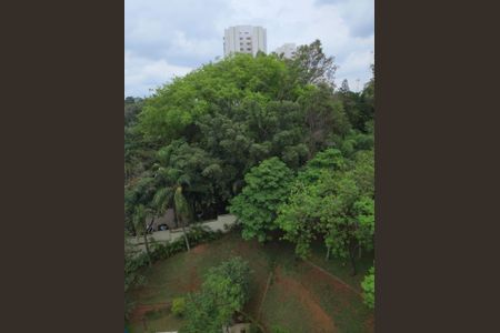 Apartamento à venda com 530m², 4 quartos e 5 vagas