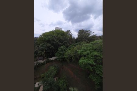 Apartamento à venda com 530m², 4 quartos e 5 vagas