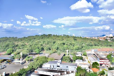 Sala - Janela Vista de apartamento para alugar com 2 quartos, 50m² em Engenho Nogueira, Belo Horizonte