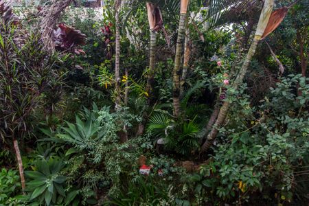 Apartamento para alugar com 68m², 2 quartos e 1 vagaVista da Suíte