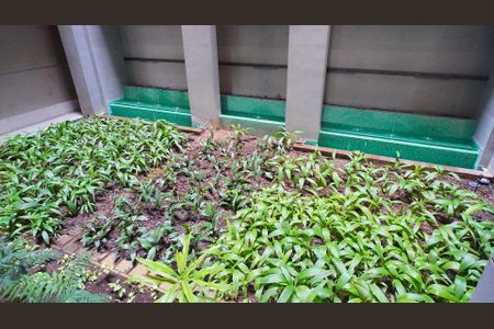 Apartamento para alugar com 75m², 2 quartos e 1 vagaÁrea comum