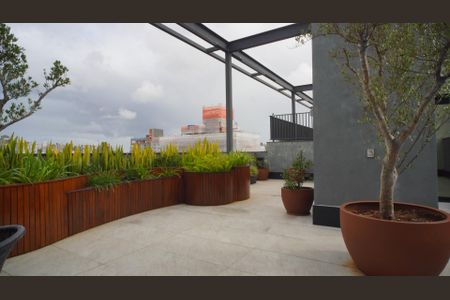 Apartamento para alugar com 75m², 2 quartos e 1 vagaÁrea comum