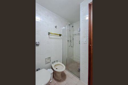Banheiro de apartamento para alugar com 3 quartos, 116m² em Cambuci, São Paulo