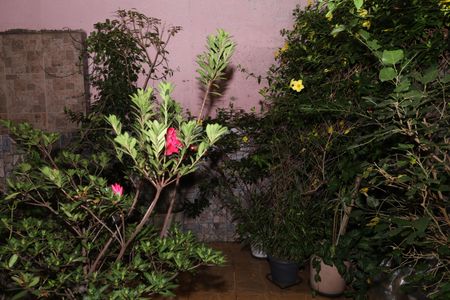 Casa para alugar com 400m², 5 quartos e 6 vagasJardim