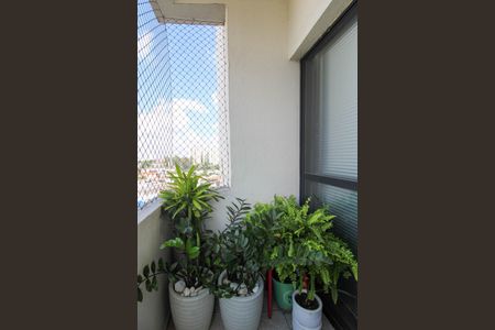 Varanda  de apartamento à venda com 2 quartos, 54m² em Jardim Monte Alegre, Taboão da Serra