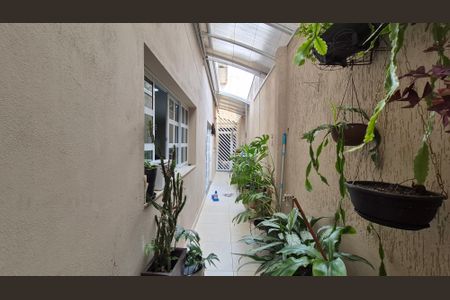 Casa à venda com 193m², 3 quartos e 2 vagasArea externa