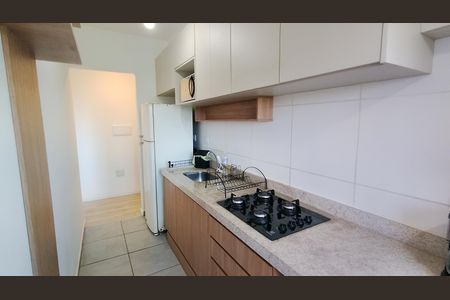 Apartamento para alugar com 47m², 2 quartos e 1 vagaCozinha 