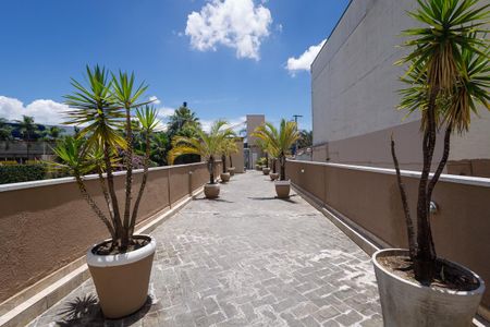 Apartamento para alugar com 62m², 2 quartos e 1 vagaÁrea comum