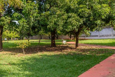 Casa de condomínio para alugar com 320m², 3 quartos e 4 vagas Casa de condomínio para alugar com 320m², 3 quartos e 4 vagasÁrea Comum -Área verde com pista para caminhada