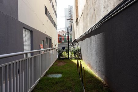 Apartamento para alugar com 26m², 1 quarto e sem vaga Apartamento para alugar com 26m², 1 quarto e sem vagaÁrea Pet