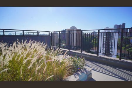 Apartamento para alugar com 25m², 1 quarto e sem vagaTerraço