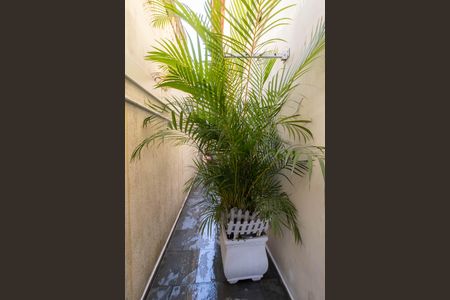 Casa para alugar com 120m², 3 quartos e 2 vagasCorredor Lateral 