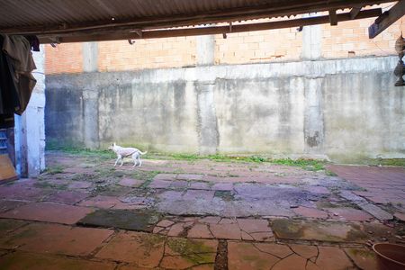 Casa para alugar com 180m², 5 quartos e 2 vagasPátio 