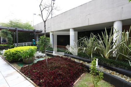 Apartamento para alugar com 63m², 2 quartos e 2 vagasÁrea comum