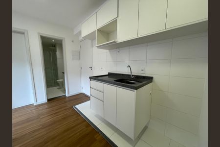 Apartamento para alugar com 33m², 2 quartos e sem vagaCozinha e Área de Serviço