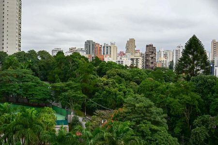 Vista de apartamento para alugar com 2 quartos, 32m² em Vila Suzana, São Paulo