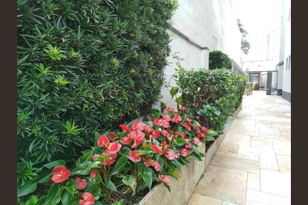 Apartamento à venda com 75m², 3 quartos e 1 vaga Apartamento à venda com 75m², 3 quartos e 1 vagaÁrea comum - jardim