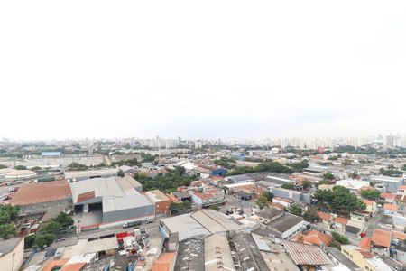 Apartamento à venda com 3 quartos, 70m² em Parque Novo Mundo, São Paulo