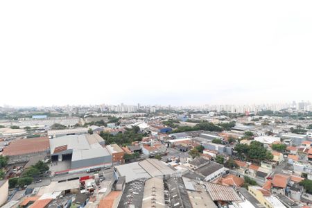Apartamento à venda com 3 quartos, 70m² em Parque Novo Mundo, São Paulo