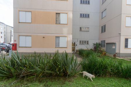 Apartamento para alugar com 47m², 2 quartos e 1 vagaVista do quarto 1 