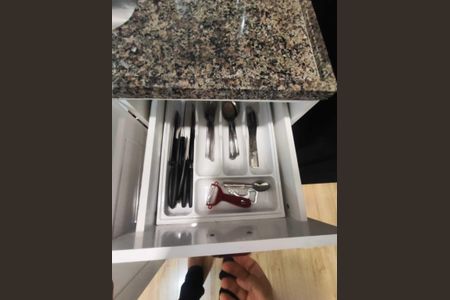 Cozinha de apartamento para alugar com 1 quarto, 30m² em Santo Cristo, Rio de Janeiro