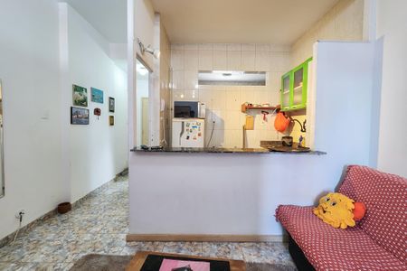 Sala de apartamento para alugar com 1 quarto, 30m² em Centro, Rio de Janeiro