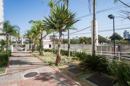 Apartamento para alugar com 80m², 3 quartos e 2 vagas Apartamento para alugar com 80m², 3 quartos e 2 vagasÁrea Comum
