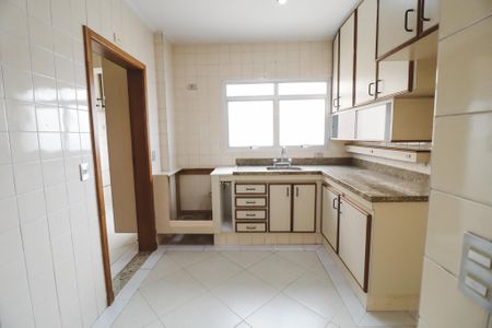 Apartamento para alugar com 93m², 3 quartos e 2 vagasCozinha