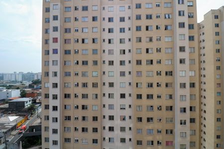 Apartamento para alugar com 41m², 2 quartos e sem vagaSala / Cozinha