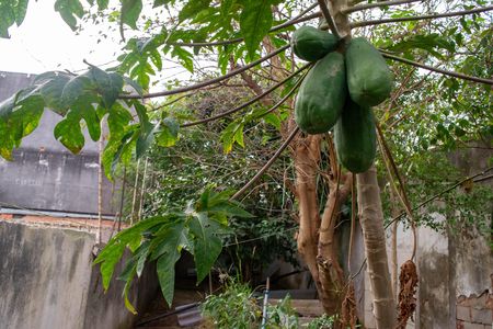Área comum de casa à venda com 1 quarto, 70m² em Chácara Santo Antônio (zona Leste), São Paulo